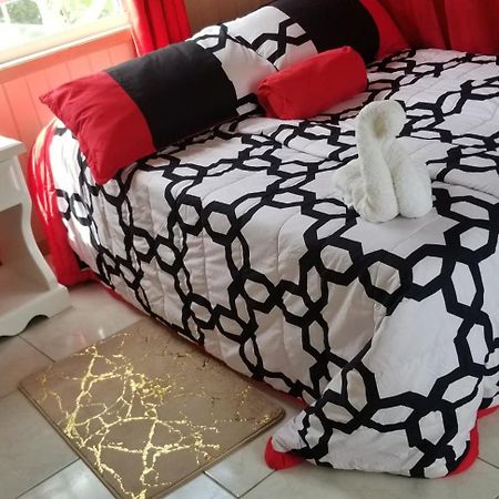 Apartament Kozy Nook St. John's Zewnętrze zdjęcie